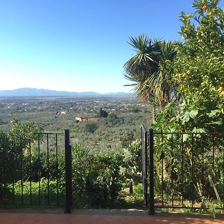 Agriturismo Podere Rondinaio ランポレッキオ エクステリア 写真