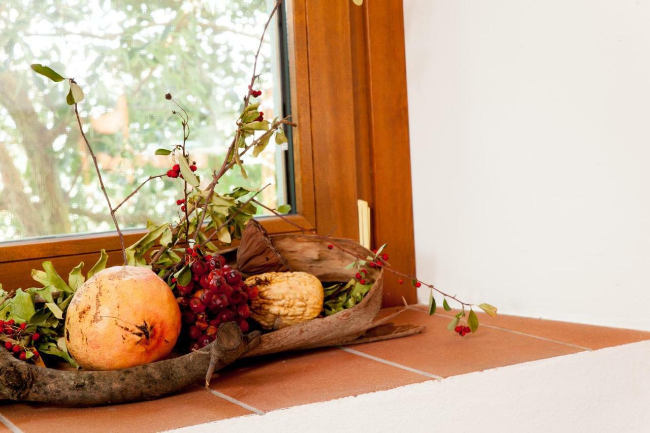 Agriturismo Podere Rondinaio ランポレッキオ エクステリア 写真