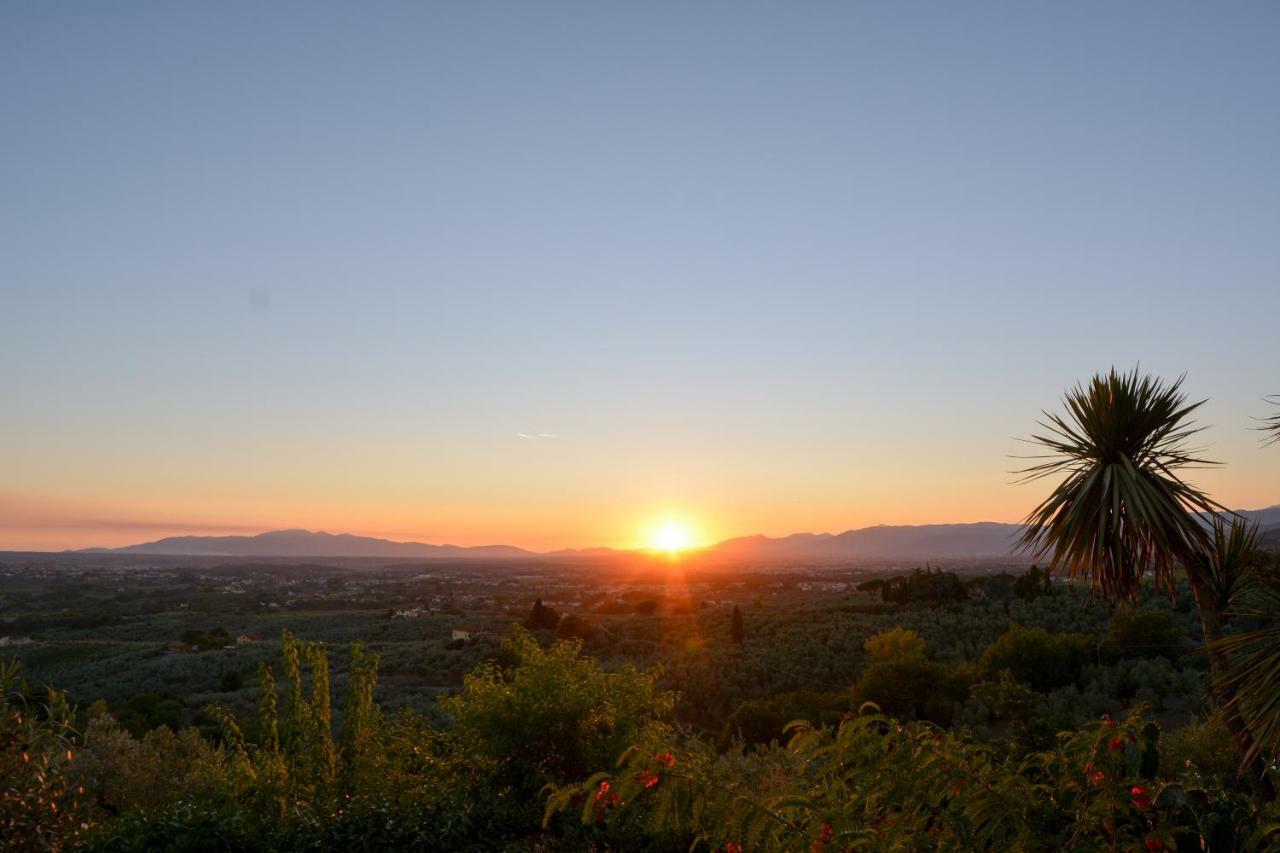 Agriturismo Podere Rondinaio ランポレッキオ エクステリア 写真