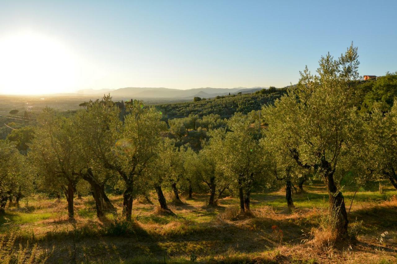 Agriturismo Podere Rondinaio ランポレッキオ エクステリア 写真